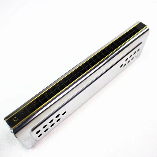 Both Sides Swan Harmonica Tremolo C And G Key 24 Holes Double Harmonica Harp Mouth Organ Woodwind Instruments