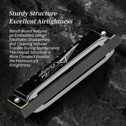 Blues Harmonica Mouth Organ 10 Hole C Key with Case, Diatonic Harmonica for Professional Player, Beginner, Students gifts, Adult