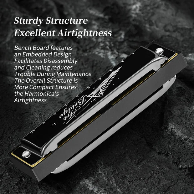 Blues Harmonica Mouth Organ 10 Hole C Key with Case, Diatonic Harmonica for Professional Player, Beginner, Students gifts, Adult