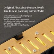 Blues Harmonica Mouth Organ 10 Hole C Key with Case, Diatonic Harmonica for Professional Player, Beginner, Students gifts, Adult