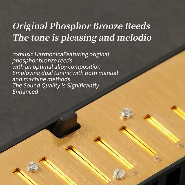 Blues Harmonica Mouth Organ 10 Hole C Key with Case, Diatonic Harmonica for Professional Player, Beginner, Students gifts, Adult