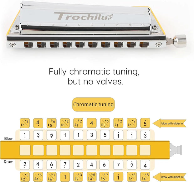 JDR Trochilus 10 Holes Chromatic Harmonica Key of C Armonica Valveless Harp Mouth Organ Chromonica with Case for Beginners