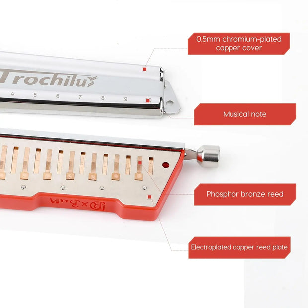 JDR Trochilus 10 Holes Chromatic Harmonica Key of C Armonica Valveless Harp Mouth Organ Chromonica with Case for Beginners
