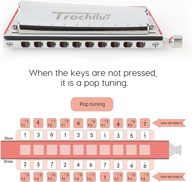 JDR Trochilus 10 Holes Chromatic Harmonica Key of C Armonica Valveless Harp Mouth Organ Chromonica with Case for Beginners