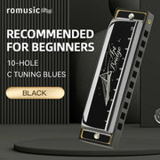 Blues Harmonica Mouth Organ 10 Hole C Key with Case, Diatonic Harmonica for Professional Player, Beginner, Students gifts, Adult